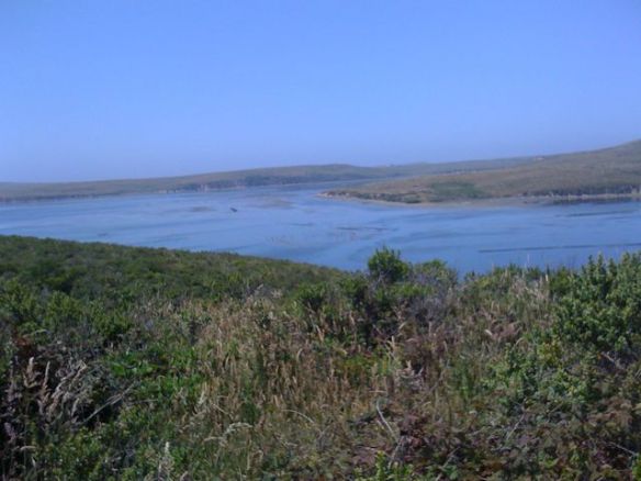 View of the estuary from the Estero Trail
